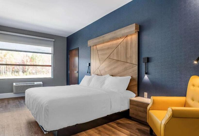 스탠다드 룸 킹사이즈 침대, Quality Hotel & Conference Centre