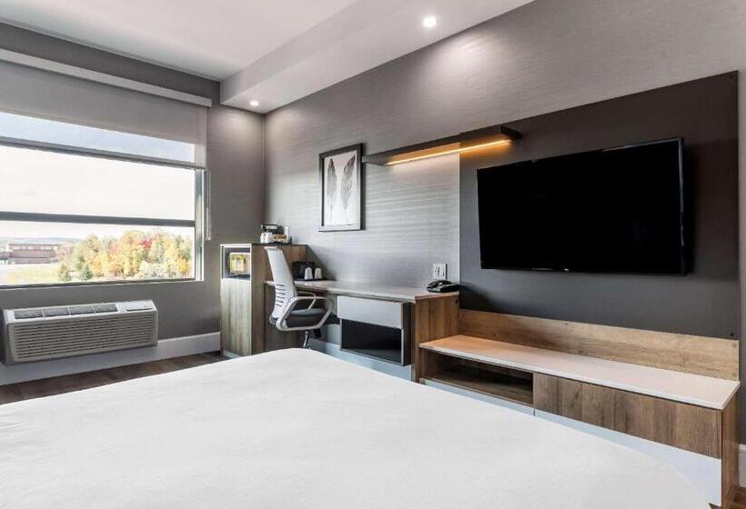 스탠다드 룸 킹사이즈 침대, Quality Hotel & Conference Centre