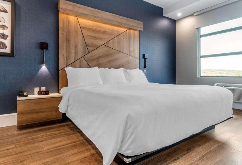 キングサイズベッドのスイートルーム, Quality Hotel & Conference Centre
