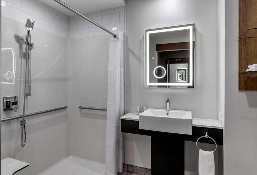 장애인을 위한 킹사이즈 침대 스탠다드 룸, Quality Hotel & Conference Centre