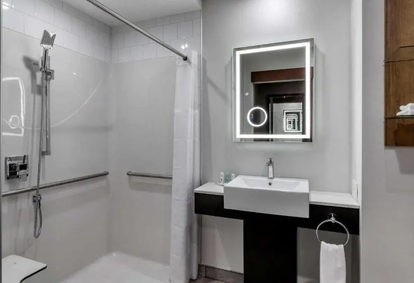身障者適用キングサイズベッドルーム, Quality Hotel & Conference Centre