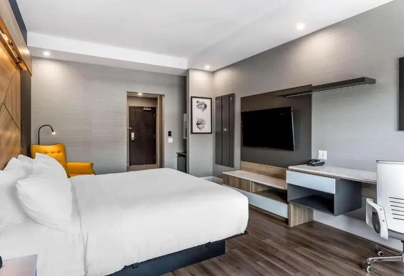 身障者適用キングサイズベッドルーム, Quality Hotel & Conference Centre