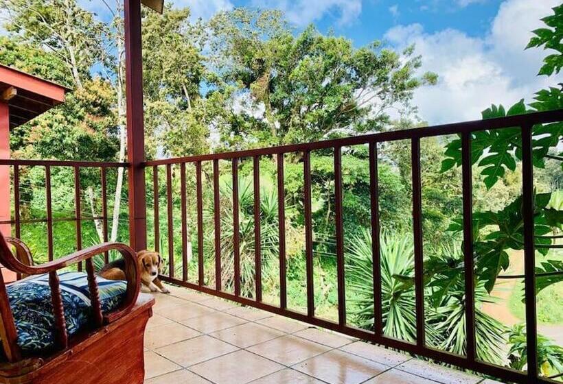 Дом 2 Спальни, Beautiful Casa Aire Near Lake Arenal In Nuevo Arenal   Casas Airelibre