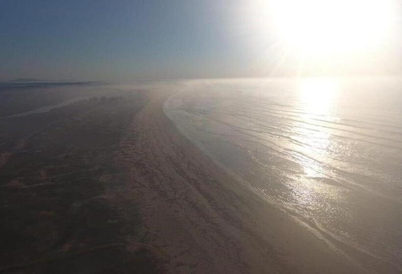 شقة غرفة واحدة, Quarto Com Cozinha E Churasqueira Individual