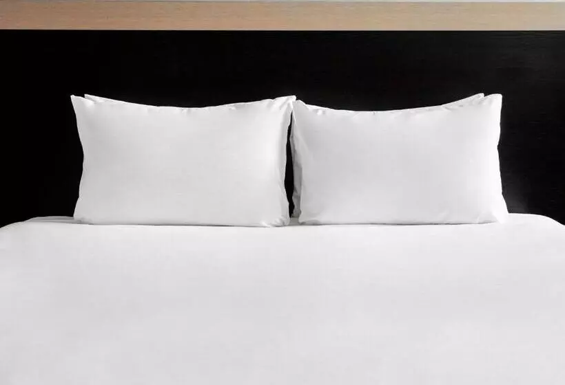 身障者適用スタンダードルーム, Holiday Inn Rugby Northampton M1 Jct18, An Ihg