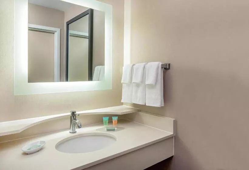 استودیو ساده, Springhill Suites By Marriott Norfolk Virginia Beach
