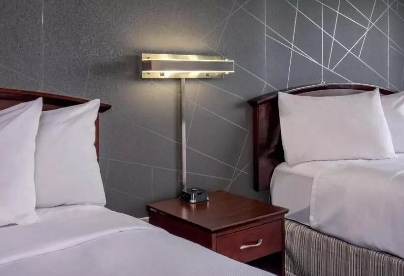 استودیو ساده, Springhill Suites By Marriott Norfolk Virginia Beach