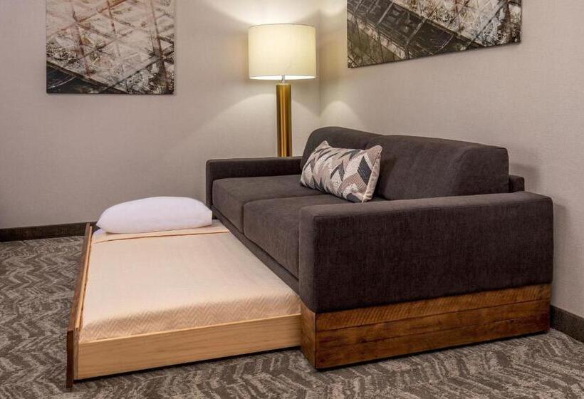 סטודיו בסיסי, Springhill Suites By Marriott Norfolk Virginia Beach