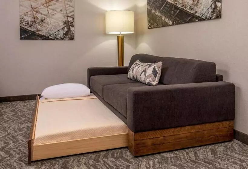 استودیو ساده, Springhill Suites By Marriott Norfolk Virginia Beach