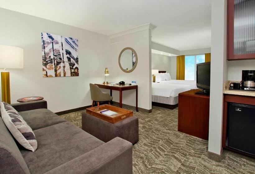 Студио Базик, Springhill Suites By Marriott Norfolk Virginia Beach