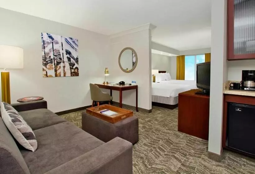 استودیو ساده, Springhill Suites By Marriott Norfolk Virginia Beach