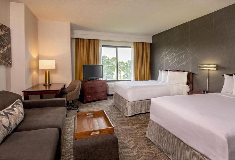 סטודיו בסיסי, Springhill Suites By Marriott Norfolk Virginia Beach