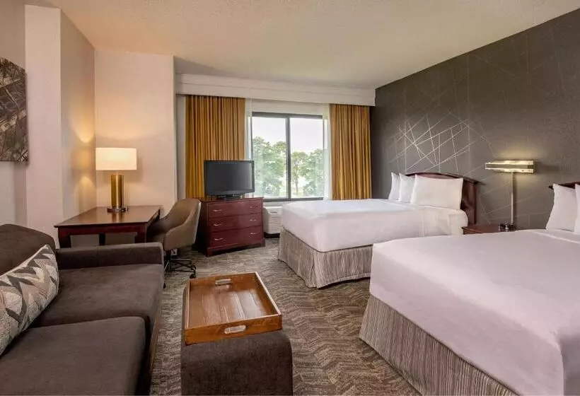 استودیو ساده, Springhill Suites By Marriott Norfolk Virginia Beach