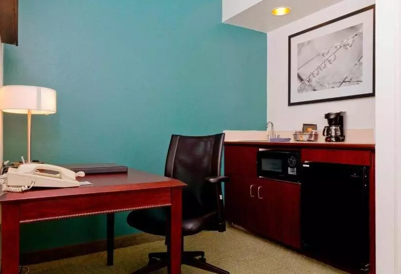 キングサイドベッドのスタンダードワンルーム, Springhill Suites Sarasota Bradenton
