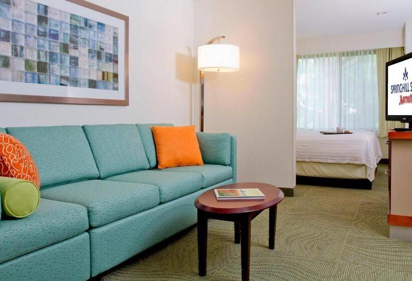 Студио Стандарт Кровать Кинг, Springhill Suites Sarasota Bradenton