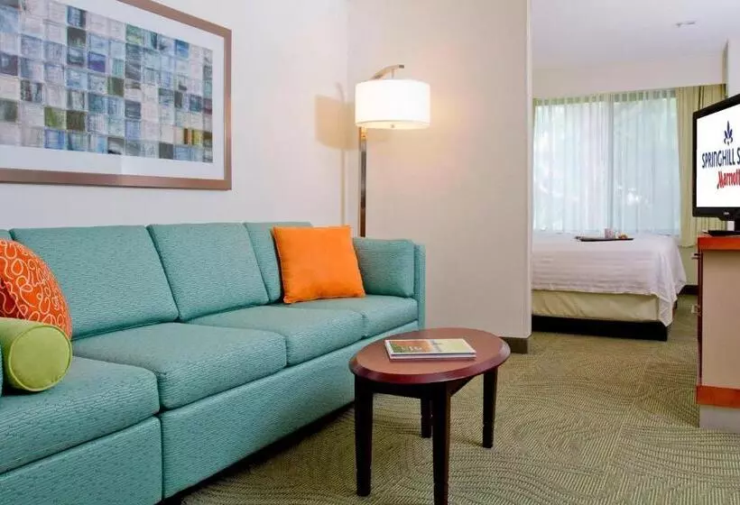 キングサイドベッドのスタンダードワンルーム, Springhill Suites Sarasota Bradenton