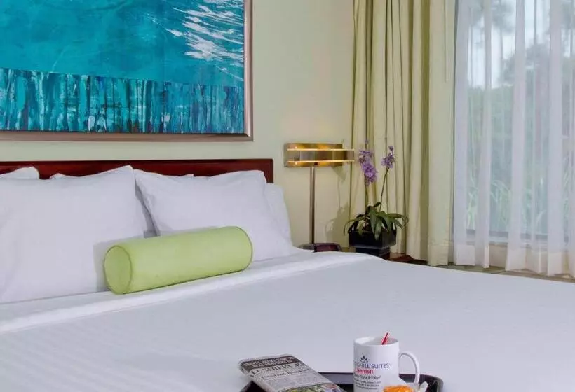 キングサイドベッドのスタンダードワンルーム, Springhill Suites Sarasota Bradenton