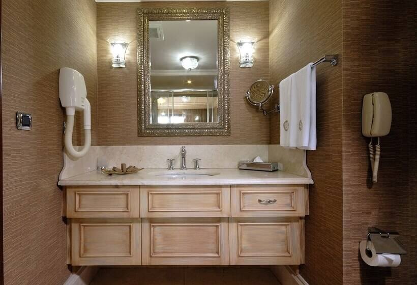 اتاق سوپریور, The Central Palace Taksim