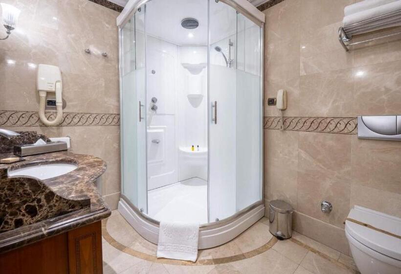 آپارتمان یک خوابه با دری مشترک که هال را جدا می کند., The Central Palace Taksim