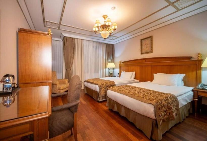 身障者適用スタンダードルーム, The Central Palace Taksim