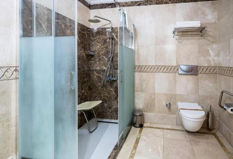 اتاق استاندارد برای معلولان, The Central Palace Taksim