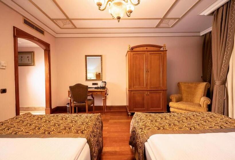 اتاق استاندارد برای معلولان, The Central Palace Taksim