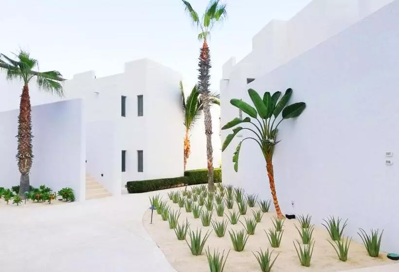 اتاق عادی, Marquis Los Cabos, An All   Inclusive, Adults   Only & No Timeshare Resort