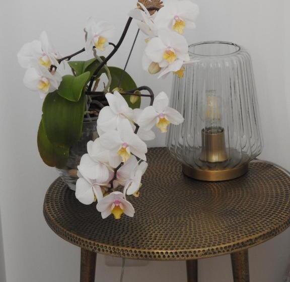 スタンダードルーム, Villa Madura