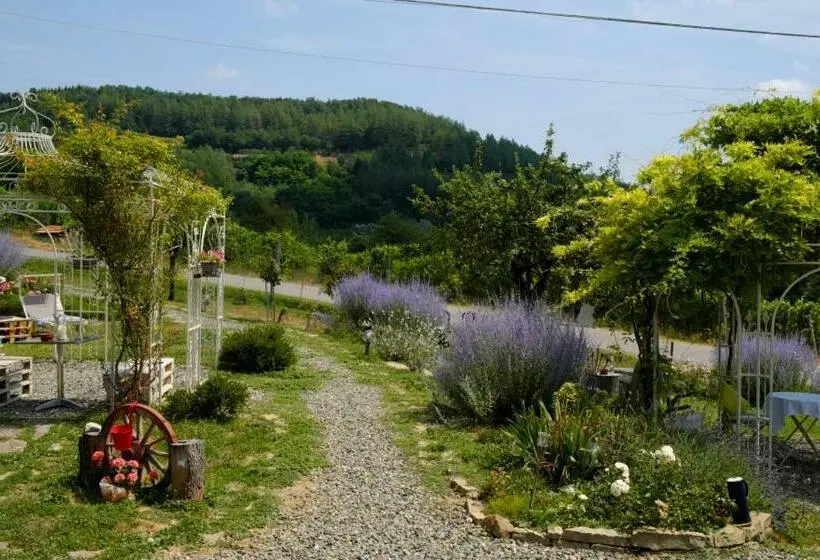 スタンダードルーム, Tre Colline In Langa