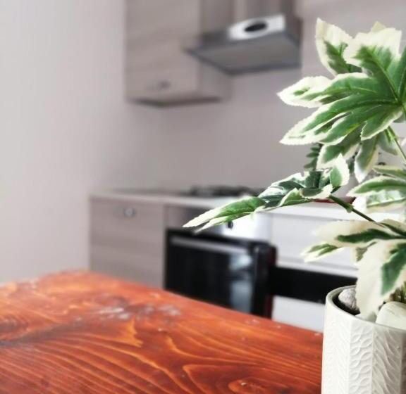 패밀리 스튜디오, Big Mama Jungle Rooms