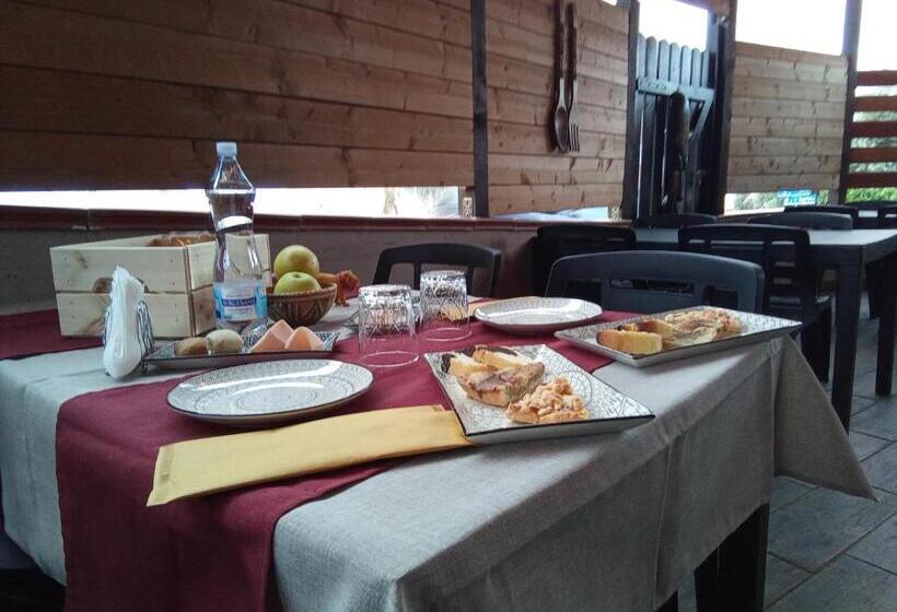 스탠다드 룸, Big Mama Jungle Rooms