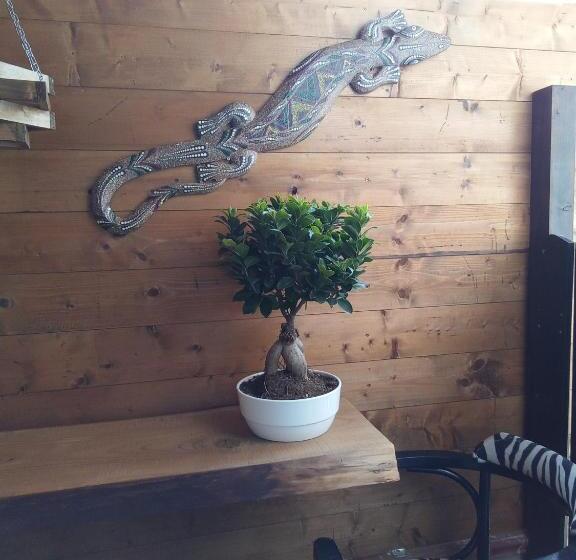 패밀리 스튜디오, Big Mama Jungle Rooms