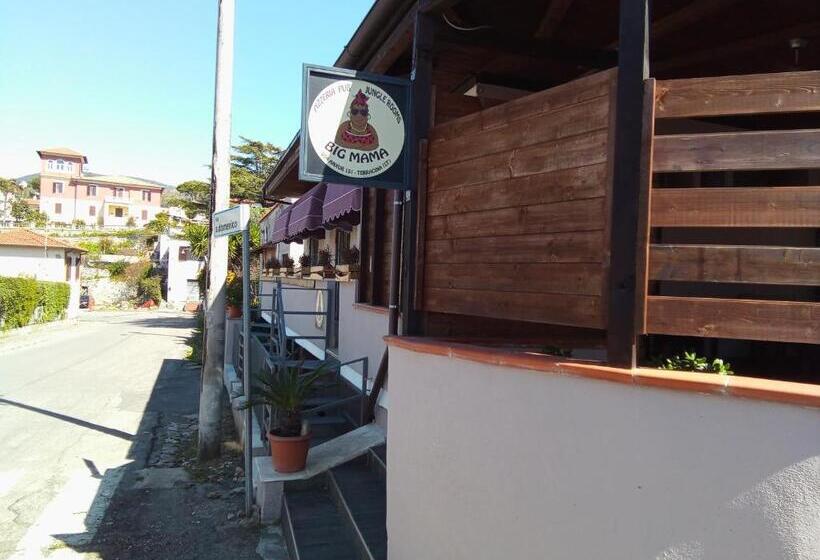 패밀리 스튜디오, Big Mama Jungle Rooms