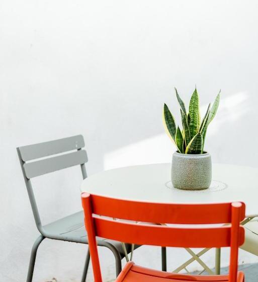 テラス付きスタンダードルーム, Heirloom   The Librarian