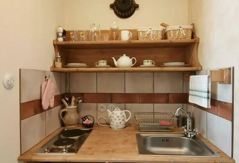 １ベッドルームアパートメント, Apartmány U Koudelníka