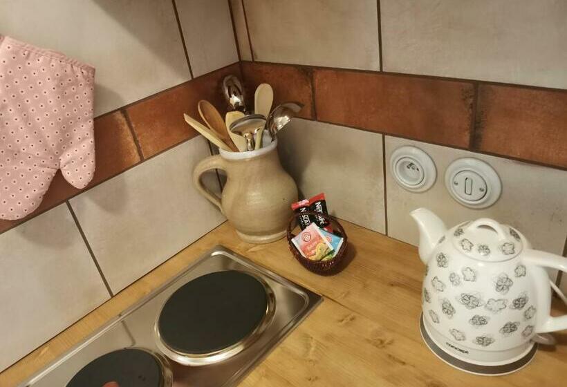 1 Szobás Apartman, Apartmány U Koudelníka