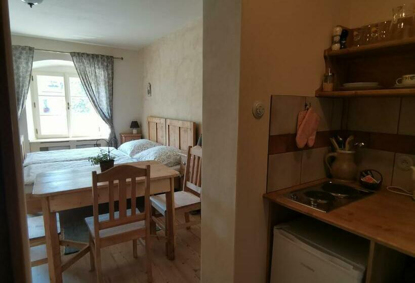 1 Szobás Apartman, Apartmány U Koudelníka