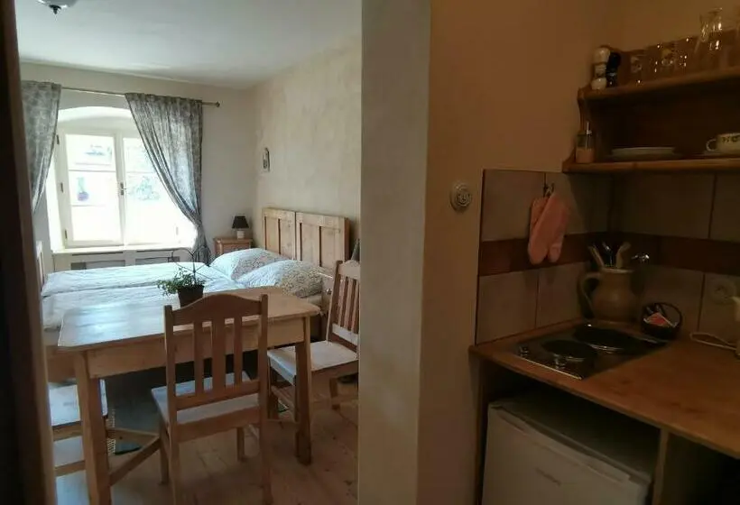 １ベッドルームアパートメント, Apartmány U Koudelníka
