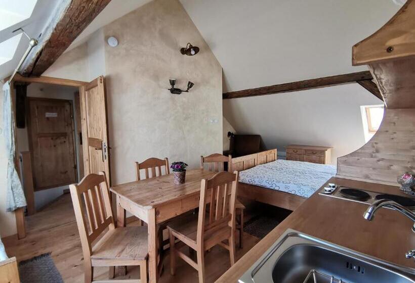 Standard Stúdió Szoba, Apartmány U Koudelníka