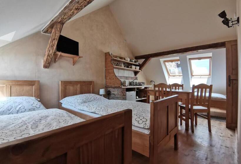 Standard Stúdió Szoba, Apartmány U Koudelníka