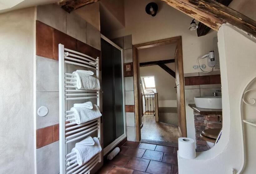 Standard Stúdió Szoba, Apartmány U Koudelníka