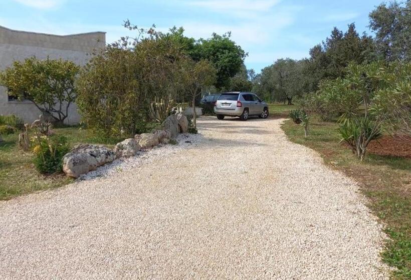 اتاق خانوادگی, Casa Bianca Alme