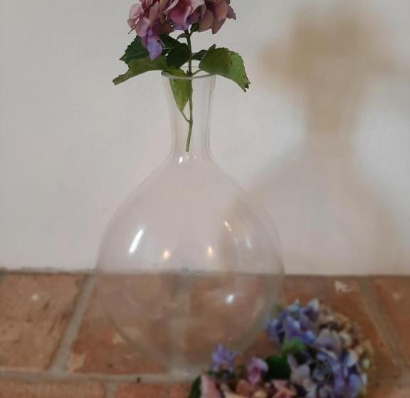 سوییت اجرایی, Dvor Vipolže