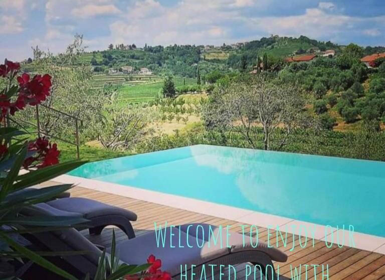 سوییت اجرایی, Dvor Vipolže