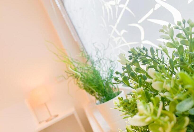 标准间, Relax Aachener Boardinghouse Premium 1