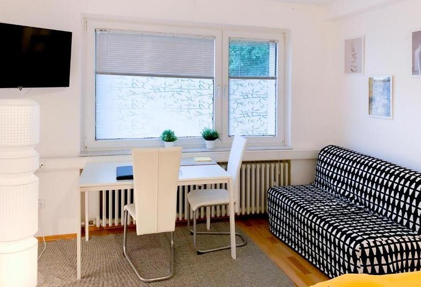 豪华房间, Relax Aachener Boardinghouse Premium 1