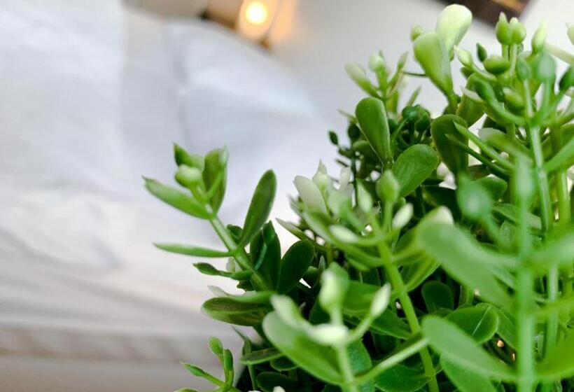 带1个卧室的公寓, Relax Aachener Boardinghouse Premium 1