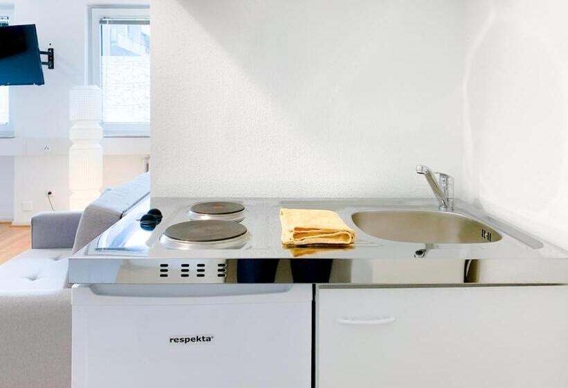 带1个卧室的公寓, Relax Aachener Boardinghouse Premium 1