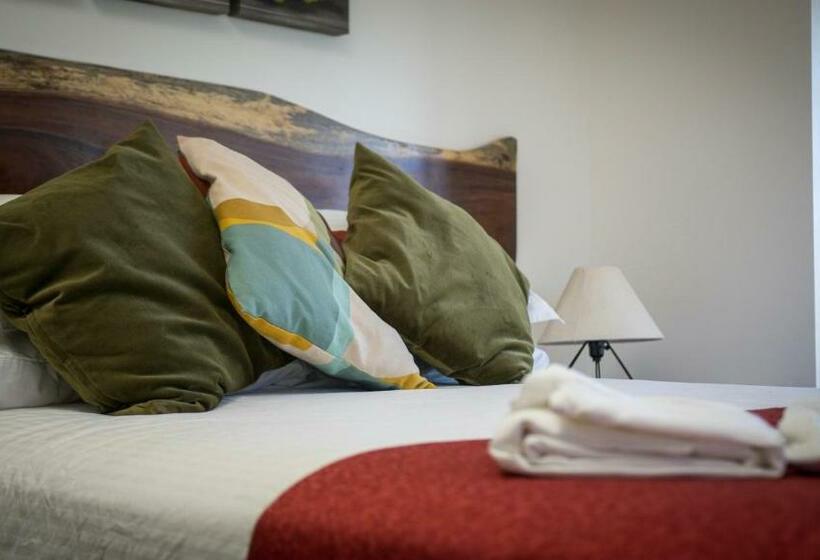 テラス付きスタンダードルーム, Xaroma