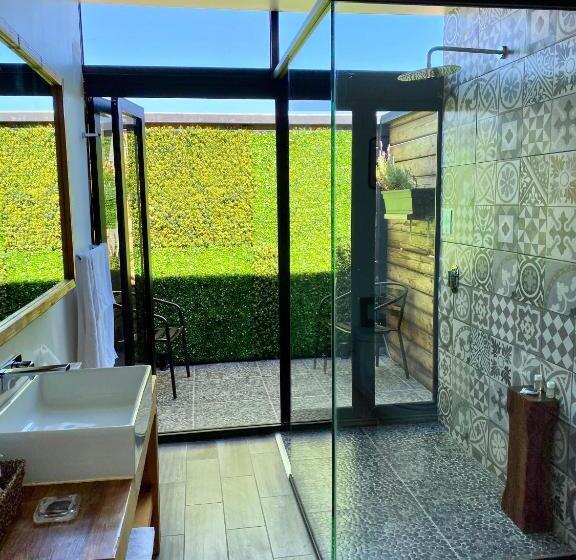 テラス付きスタンダードルーム, Xaroma